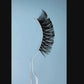 EDNA 3D